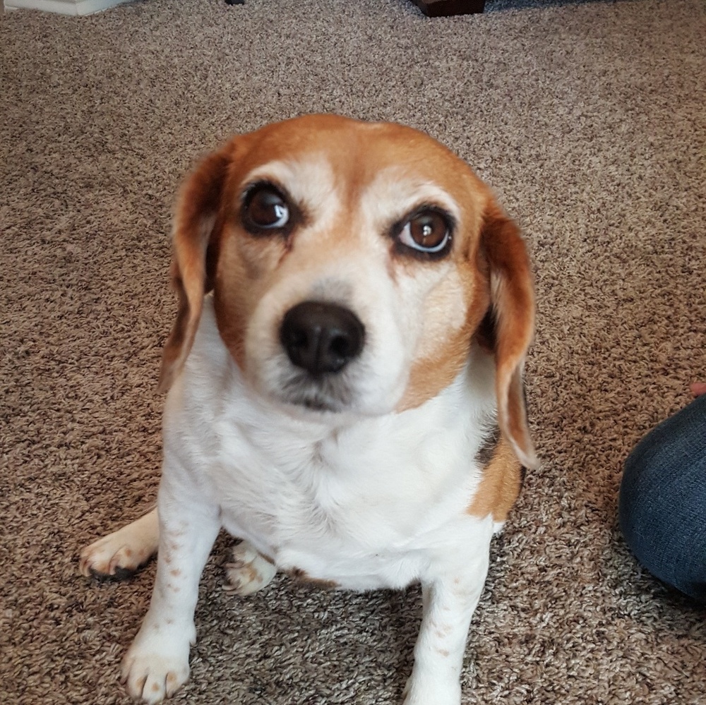 Meet your Posher, Angela